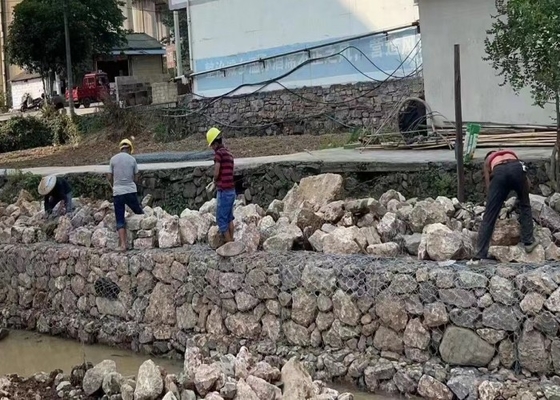 गार्डन लैंडस्केपिंग के लिए उच्च शक्ति 80x100 मिमी गेबियन वायर मेष